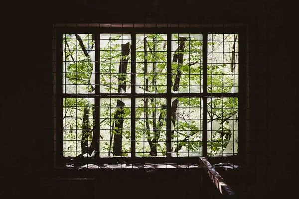 虚拟空间鲜花效果展示